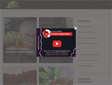 Tablet Screenshot of kameleony.net